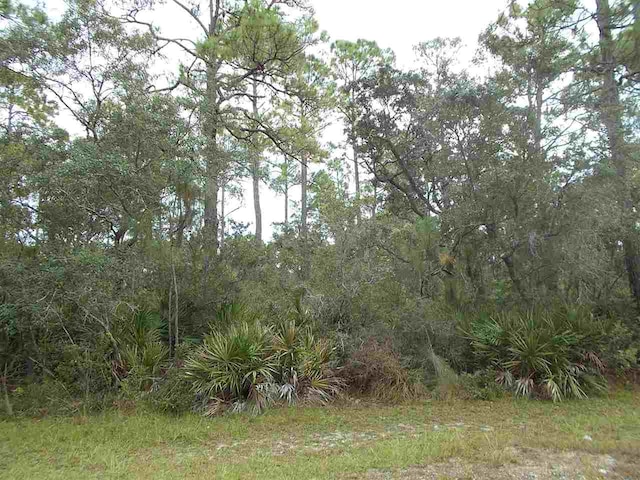 22 Piper Ln -, Unit Panacea FL, 32346 land for sale