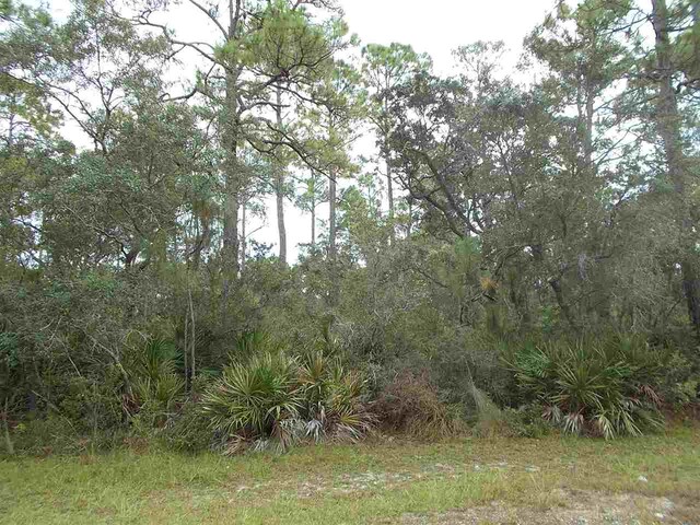 22 Piper Ln -, Unit Panacea, FL 32346
