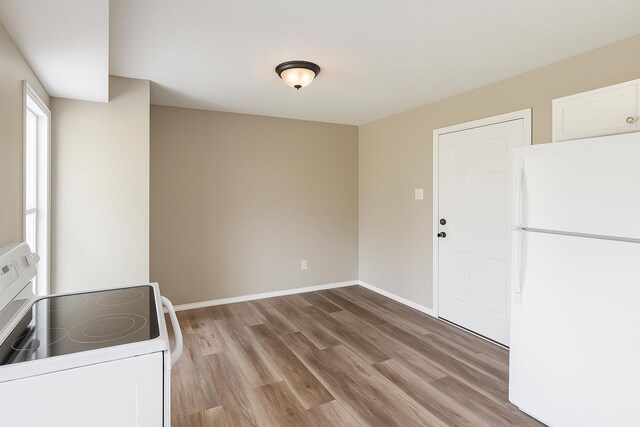 805 Jacqueline Ln, Leon, FL 32304 - photo 4