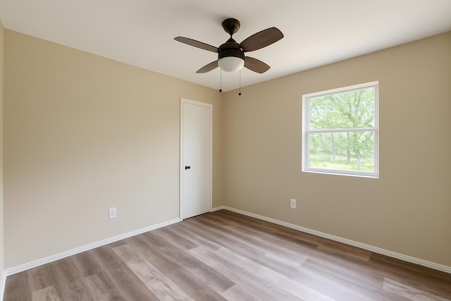805 Jacqueline Ln, Leon, FL 32304 - photo 10