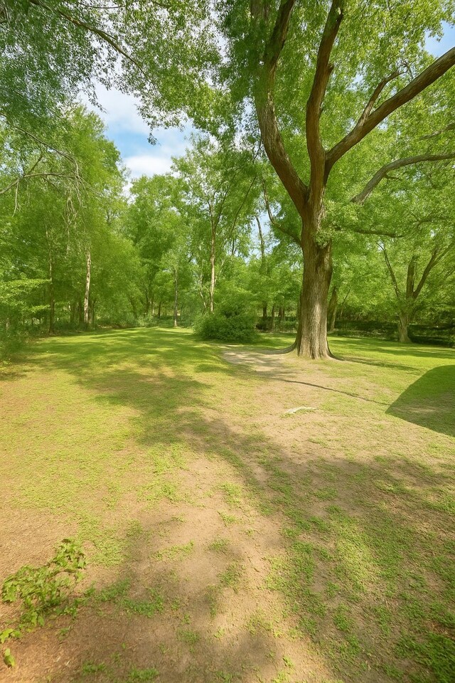 805 Jacqueline Ln, Leon, FL 32304 - photo 11