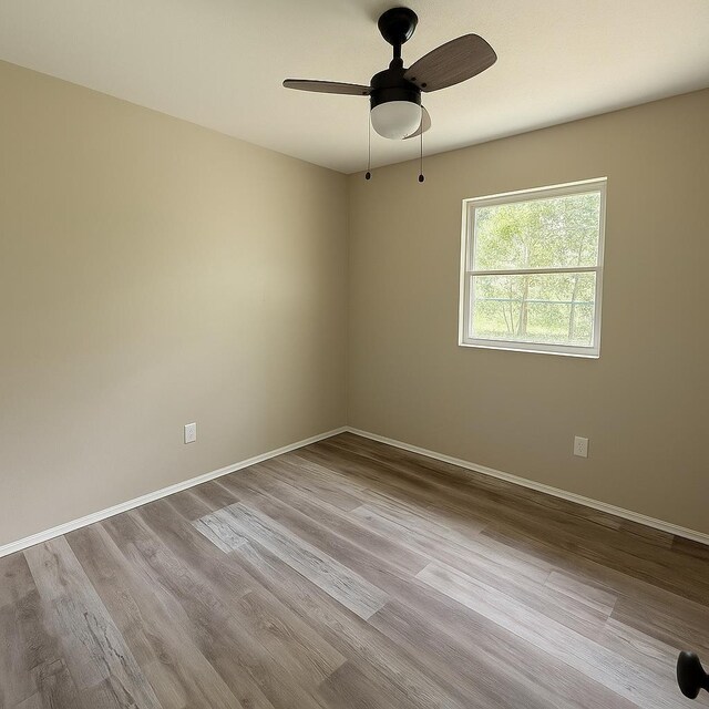 805 Jacqueline Ln, Leon, FL 32304 - photo 9