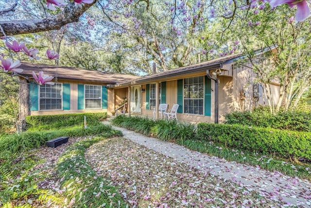 single story home with stucco siding