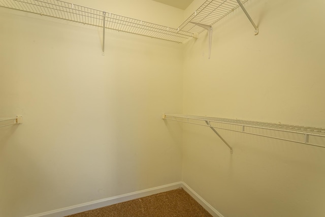 spacious closet featuring carpet floors