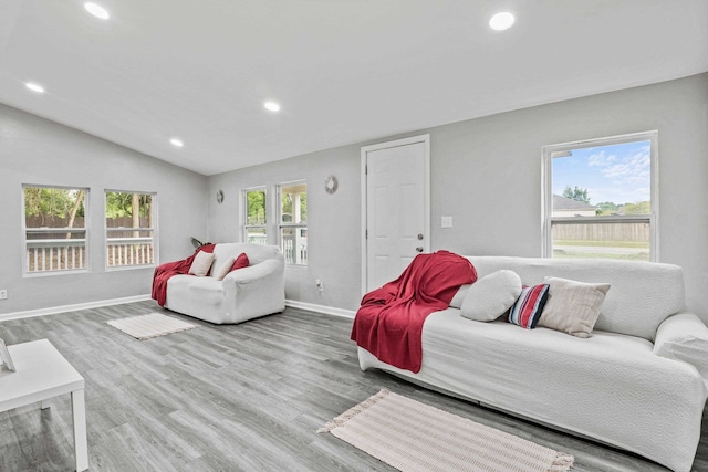 bedroom featuring light hardwood / wood-style flooring and vaulted ceiling