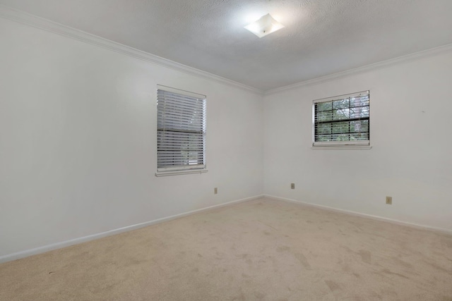 empty room with ornamental molding, a textured ceiling, and light carpet