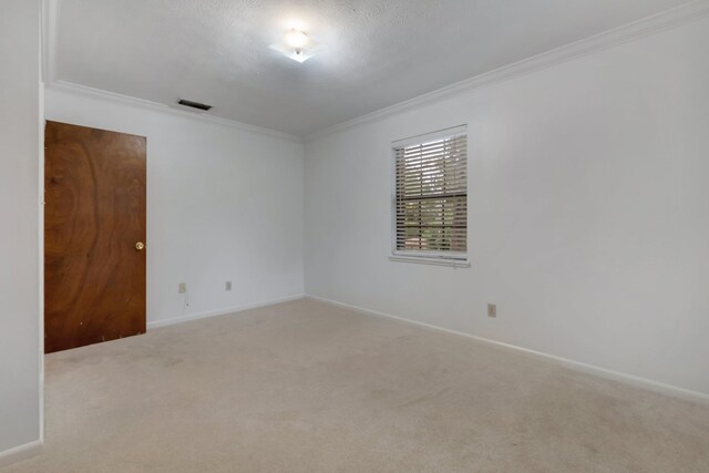 spare room featuring a textured ceiling, light colored carpet, and crown molding