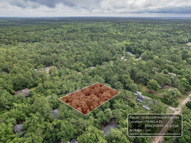 XX Pamela Place, Sopchoppy, FL 32358 - photo 3