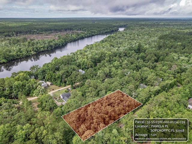 XX Pamela Place, Sopchoppy, FL 32358 - photo 2