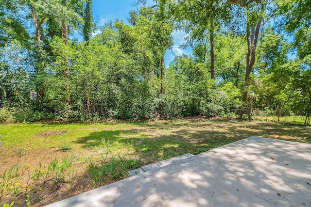 315 Meadowbrook Ln, Tallahassee, FL 32304 - photo 20