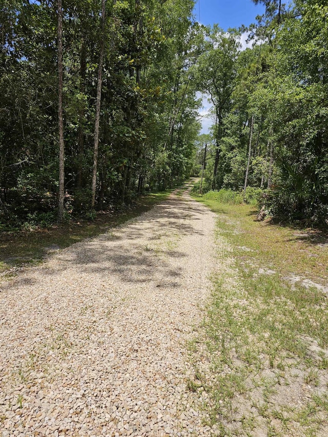 Pamela Pl, Sopchoppy, FL 32358