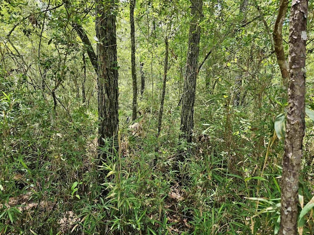 Pamela Pl, Sopchoppy, FL 32358