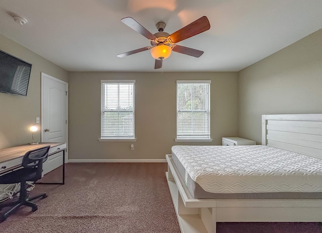 2027 Ann Arbor Ave Unit 1501, Tallahassee, FL 32304 - bedroom featuring dark colored carpet, baseboards, an office area, and a ceiling fan
