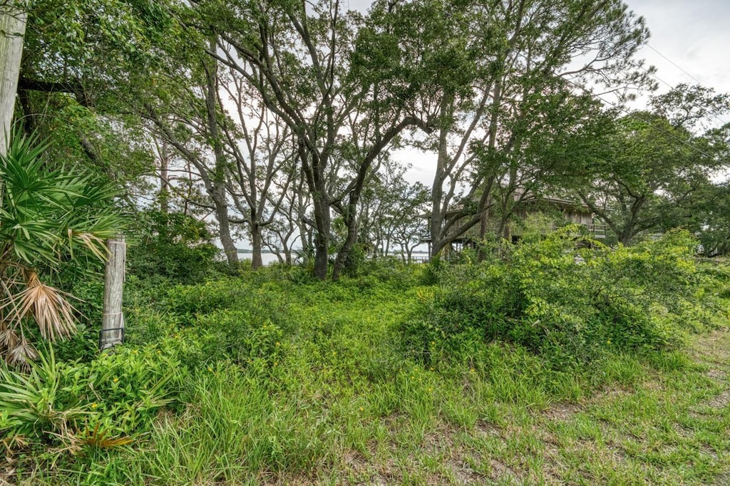 175 Harbor Cir, Alligator Point, FL 32346 - photo 1
