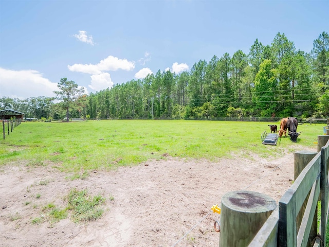 916 NW Brooks County Line Rd, Greenville, FL 32331 - photo 37