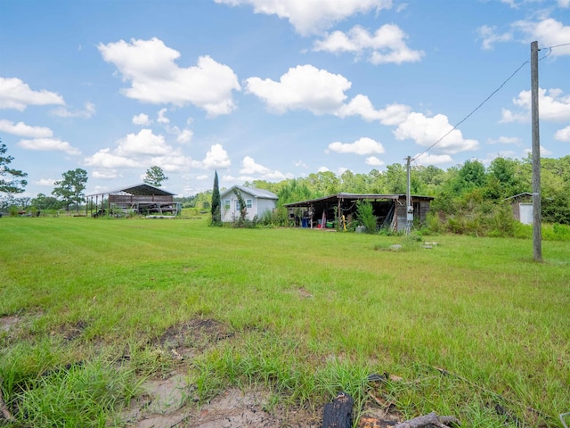 916 NW Brooks County Line Rd, Greenville, FL 32331 - photo 43