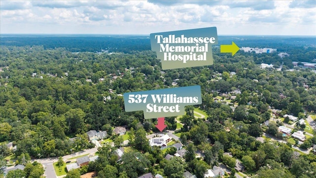 537 Williams St, Tallahassee, FL 32303 - photo 65