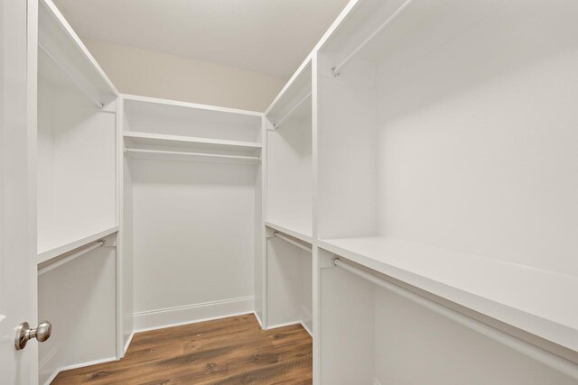 spacious closet with dark wood-type flooring