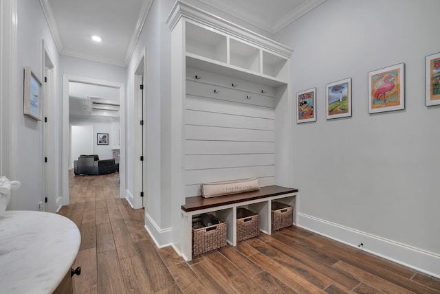 mudroom featuring crown molding and dark wood-type flooring