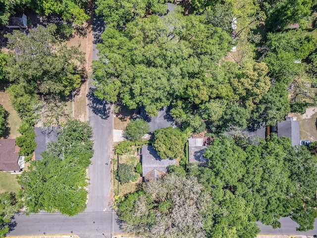 317 W 9th Ave, Tallahassee, FL 32303 - photo 37