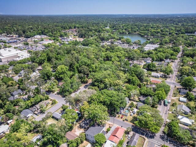317 W 9th Ave, Tallahassee, FL 32303 - photo 41