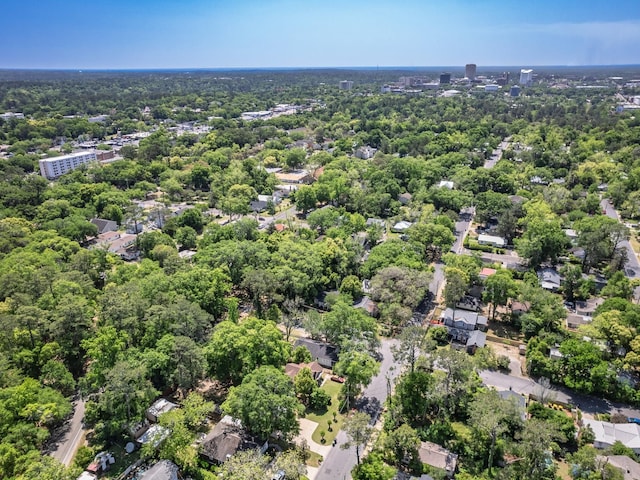 317 W 9th Ave, Tallahassee, FL 32303 - photo 39