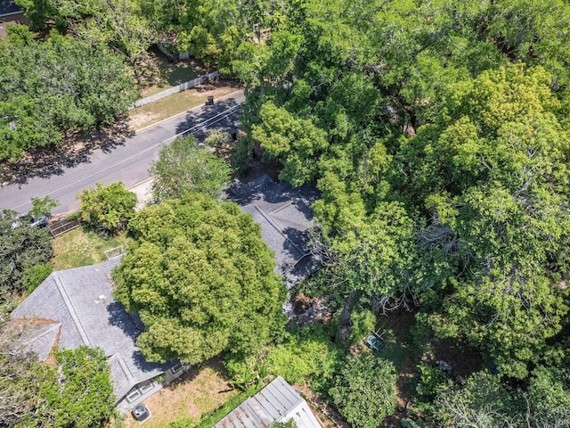 317 W 9th Ave, Tallahassee, FL 32303 - photo 38