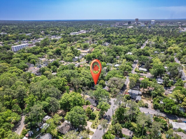 317 W 9th Ave, Tallahassee, FL 32303 - photo 40