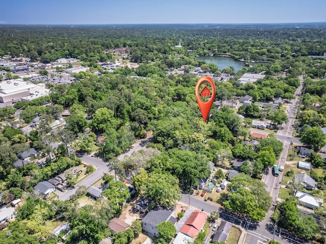 317 W 9th Ave, Tallahassee, FL 32303 - photo 34