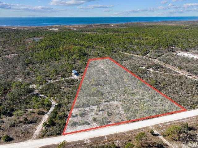 3045 Yates Creek Rd, Perry, FL 32348 - photo 38