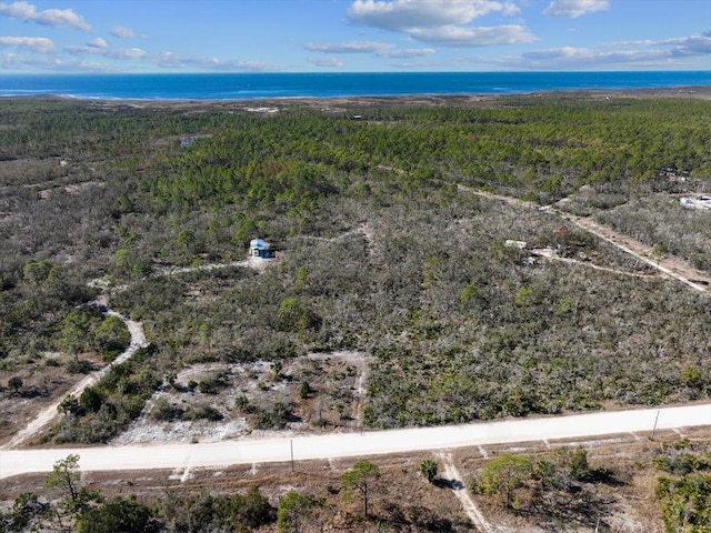 3045 Yates Creek Rd, Perry, FL 32348 - photo 21