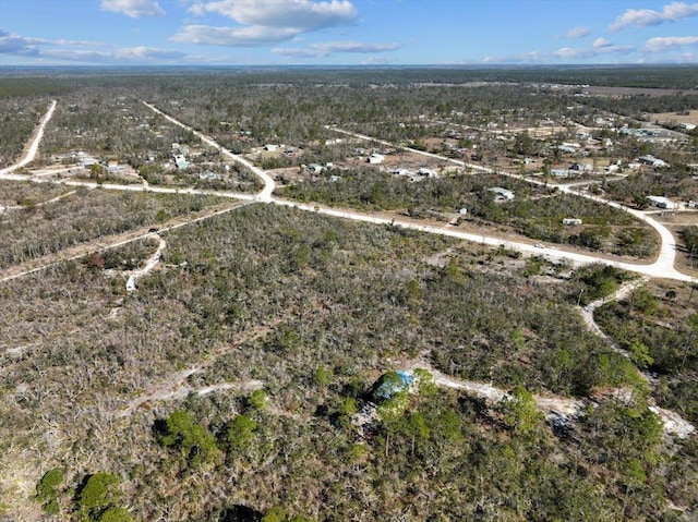 3045 Yates Creek Rd, Perry, FL 32348 - photo 18