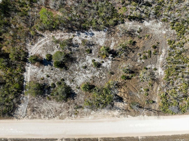 3045 Yates Creek Rd, Perry, FL 32348 - photo 40