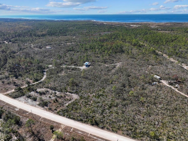 3045 Yates Creek Rd, Perry, FL 32348 - photo 22