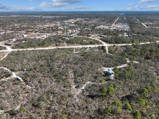 3045 Yates Creek Rd, Perry, FL 32348 - photo 30