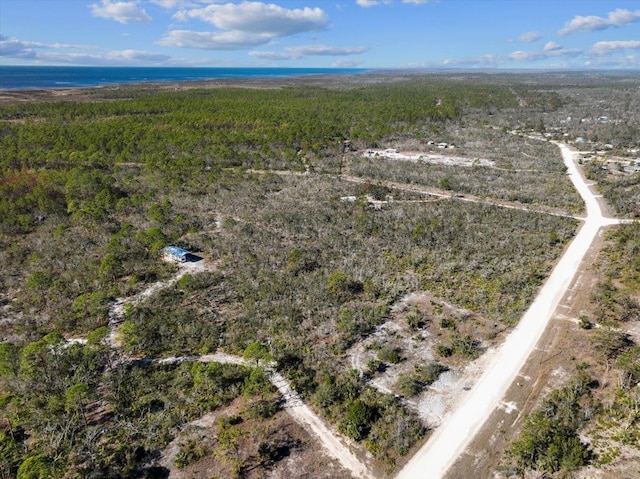 3045 Yates Creek Rd, Perry, FL 32348 - photo 20