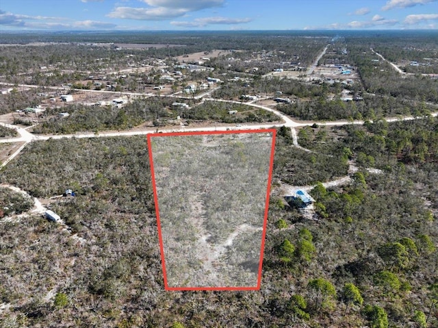 3045 Yates Creek Rd, Perry, FL 32348 - photo 13