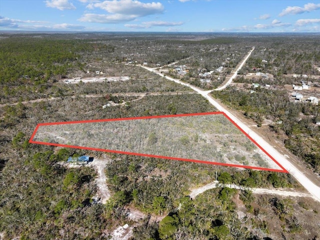 3045 Yates Creek Rd, Perry, FL 32348 - photo 37