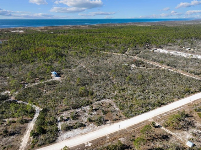 3045 Yates Creek Rd, Perry, FL 32348 - photo 19