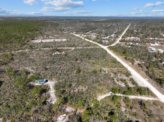 3045 Yates Creek Rd, Perry, FL 32348 - photo 23