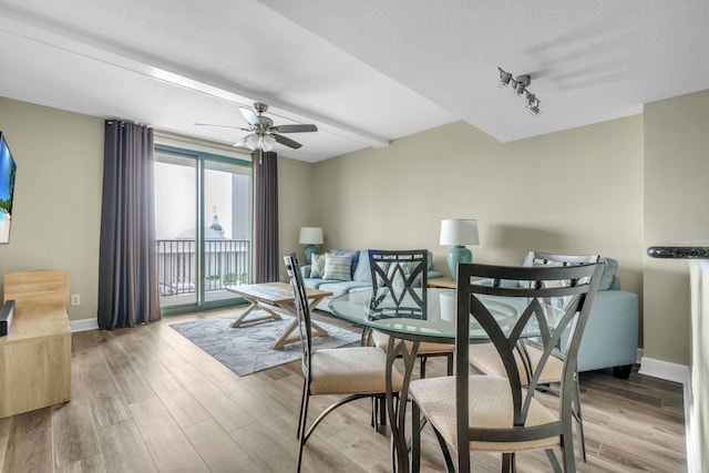 300 S Duval St Unit 1210, Tallahassee, FL 32301 - dining room with wood finished floors, ceiling fan, and a textured ceiling