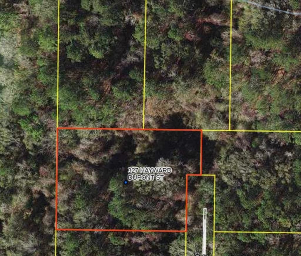 327 Hayward/Dupont Rd, Midway, FL 32343 - photo 3