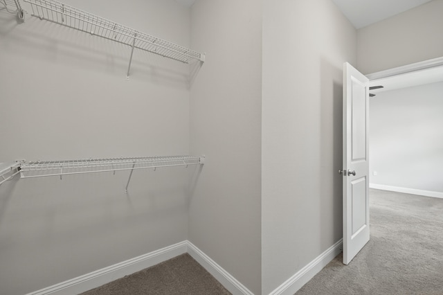 2558 Grove Landing Ct, Tallahassee, FL 32311 - photo 21