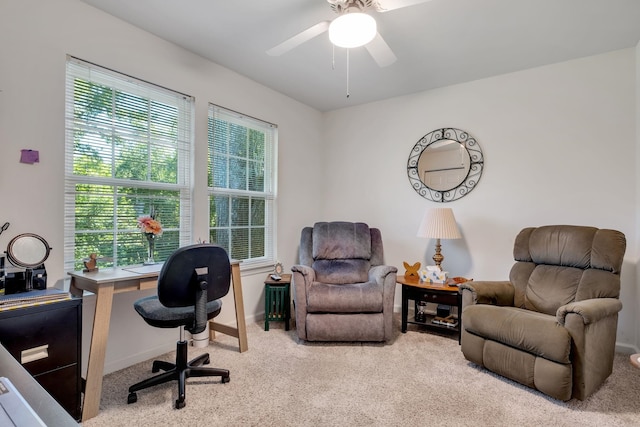 3884 Paddrick Dr, Tallahassee, FL 32309 - photo 19