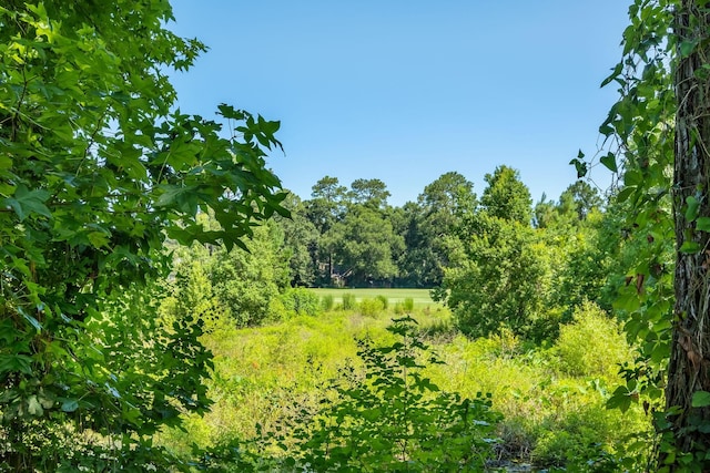 3884 Paddrick Dr, Tallahassee, FL 32309 - photo 24