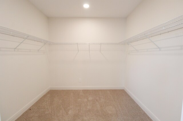 spacious closet featuring light carpet