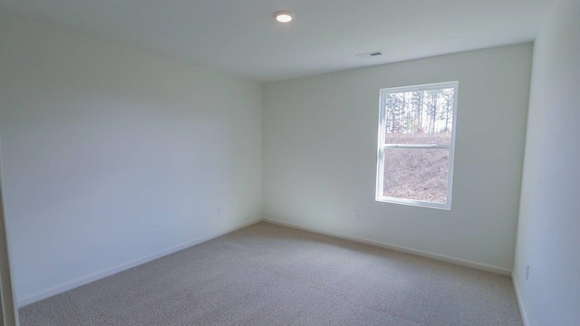 277 Ivy Ln, Crawfordville, FL 32327 - photo 18