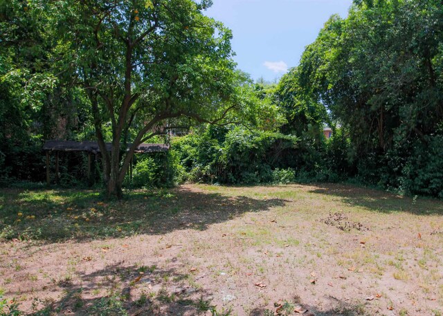 2105 Belle Vue Way, Tallahassee, FL 32304 - view of yard