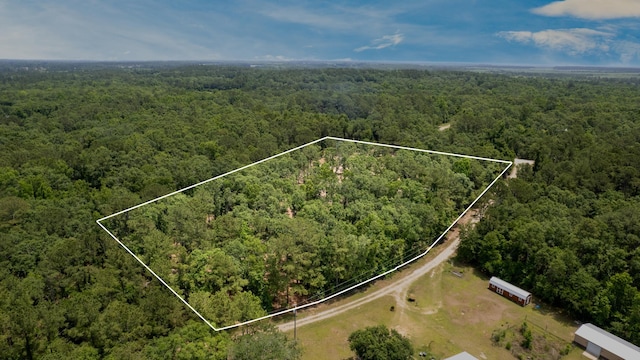 91 W 7th Way, Greenville, FL 32331