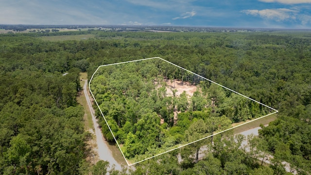91 W 7th Way, Greenville, FL 32331
